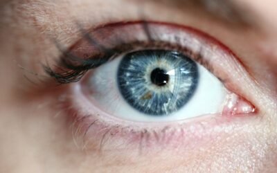 La Teràpia EMDR. Què és, com funciona i perquè funciona?