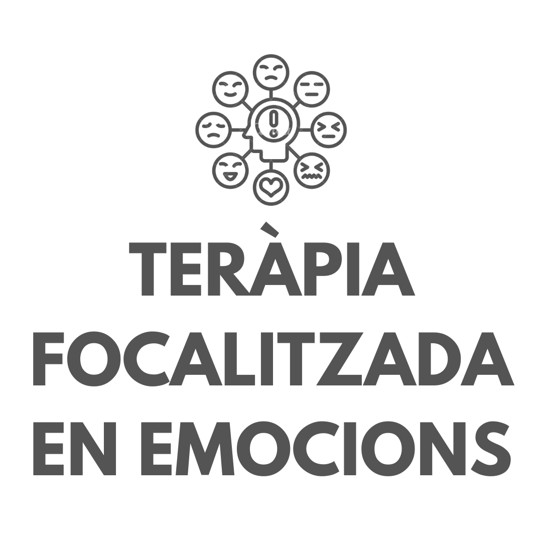 TERÀPIA FOCALITZADA EN LES EMOCIONS