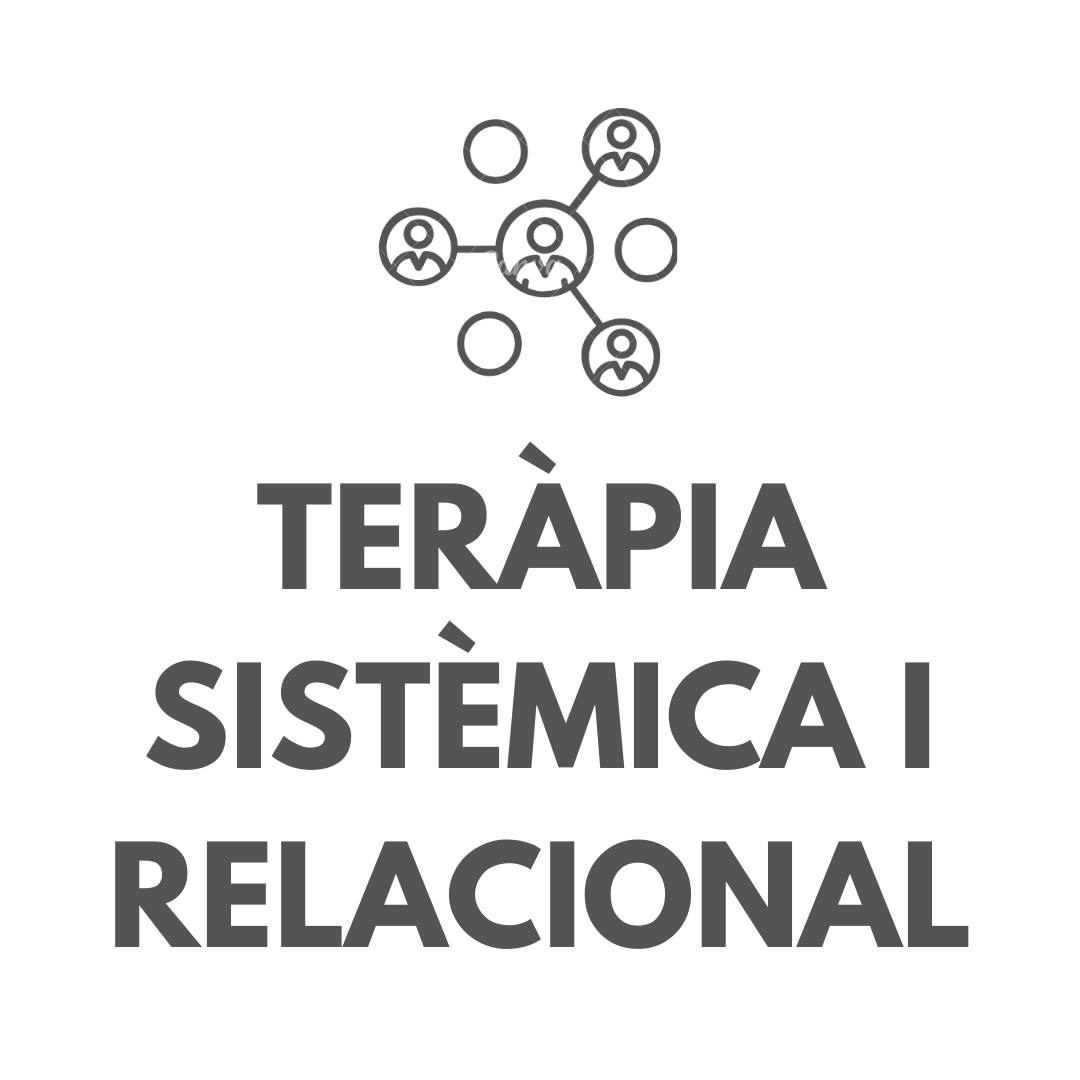 TERÀPIA SISTÈMICA I RELACIONAL