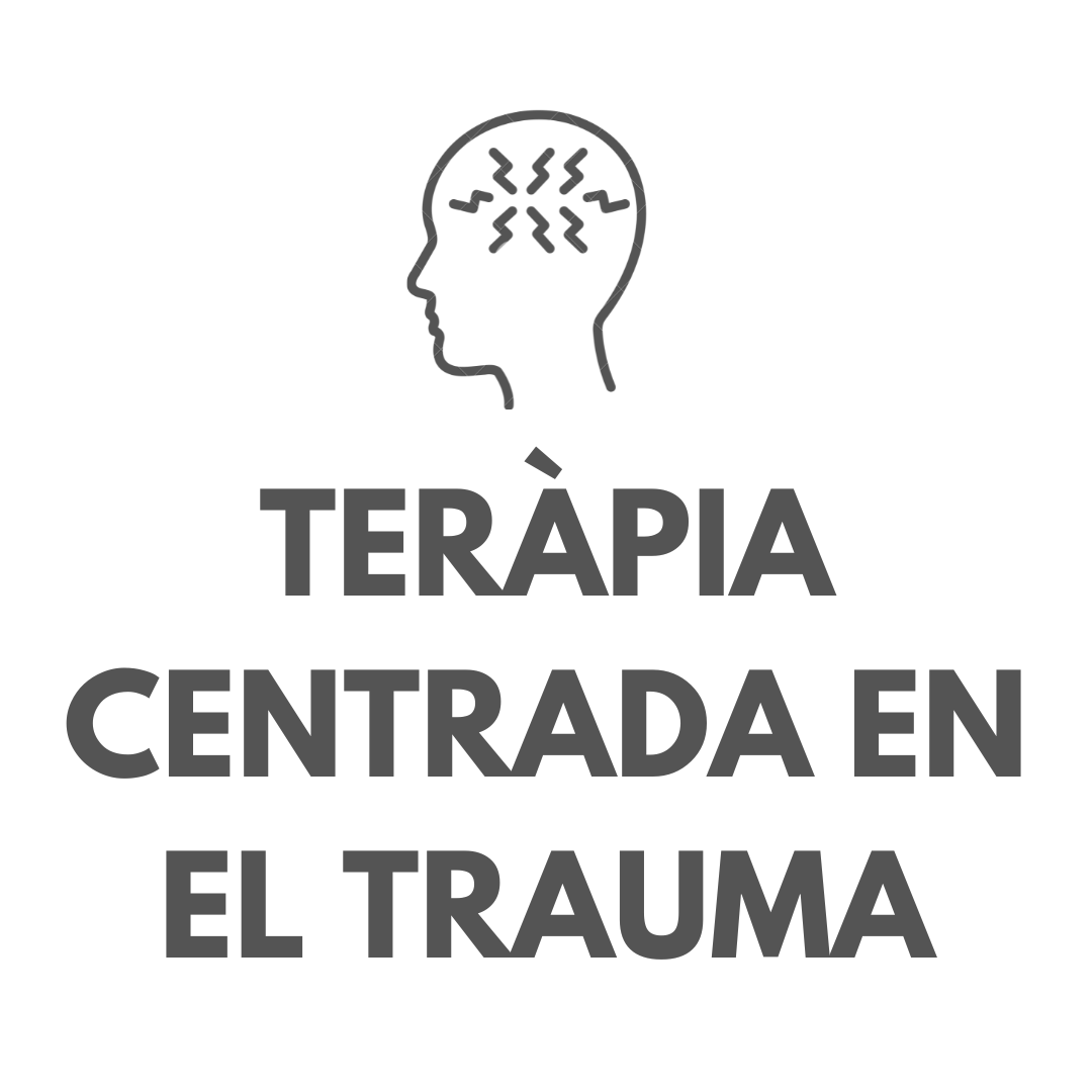 TERÀPIA CENTRADA EN EL TRAUMA
